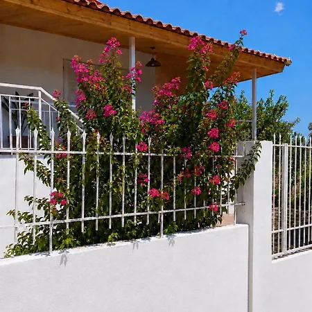 La Bouganvillia A Eretrie, Ile D'eubee, Grece