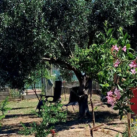 L'île Eubée, La Douceur De Vivre Entre Et Nature à Eretria, Grèce Hébergement de vacances *