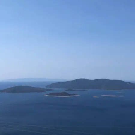 La Bouganvillia A Eretrie, Ile D'eubee, Grece