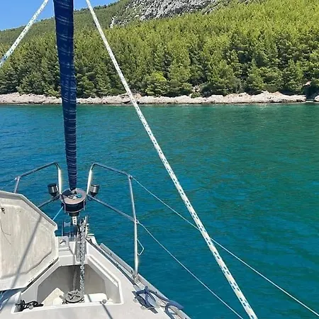 La Bouganvillia A Eretrie, Ile D'eubee, Grece * Eretria (Evia)