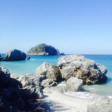 La Bouganvillia A Eretrie, Ile D'eubee, Grece * Eretria (Evia)